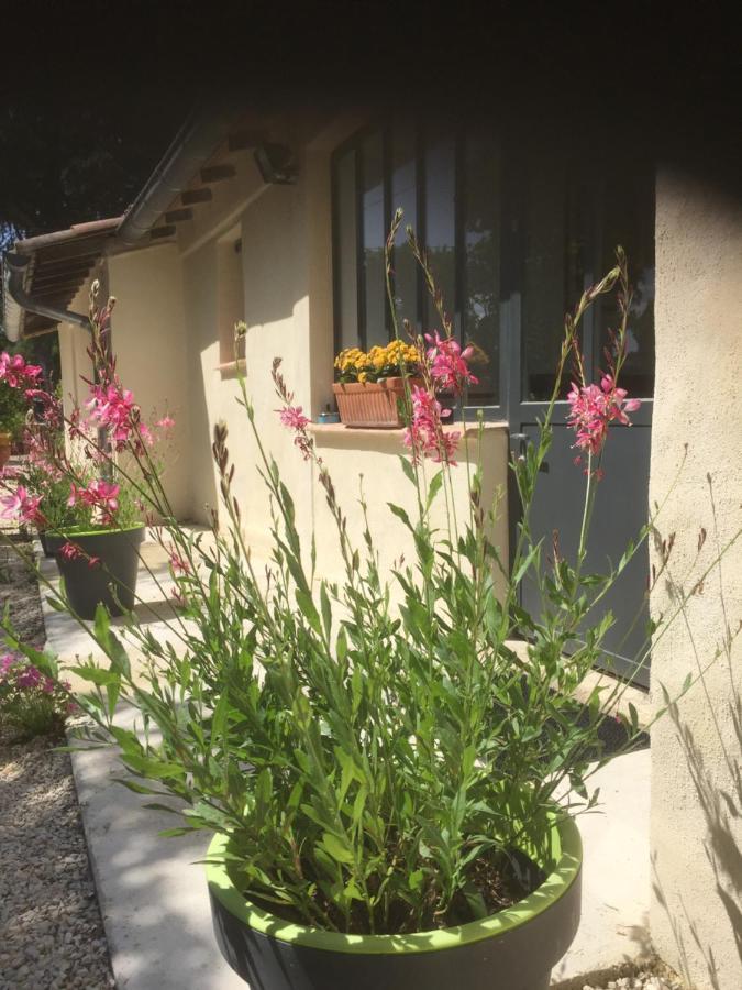 Chambres D'Hotes Lovely Planette Nimes Exterior photo